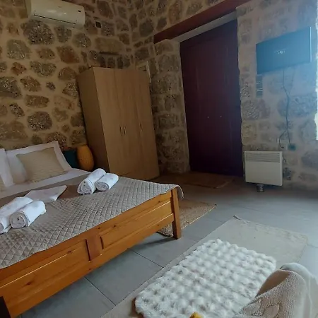 Homonatura Petrinum * Ariokhorion