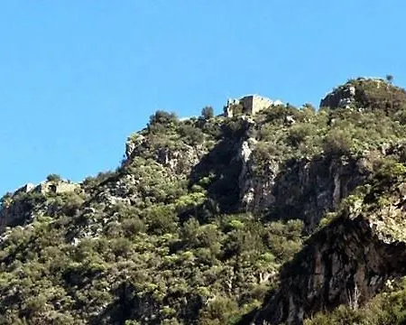 Homonatura Petrinum * Ariokhorion