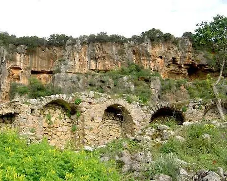 Homonatura Petrinum * Ariokhorion