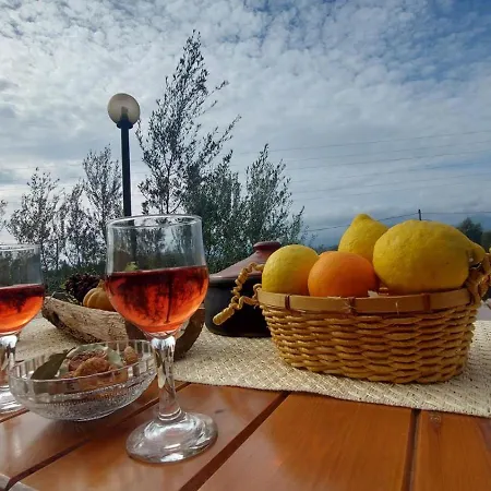 Holiday home Homonatura Petrinum Ariokhorion