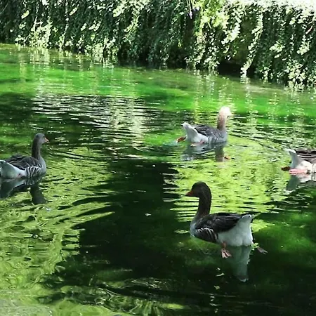 Holiday home Homonatura Petrinum