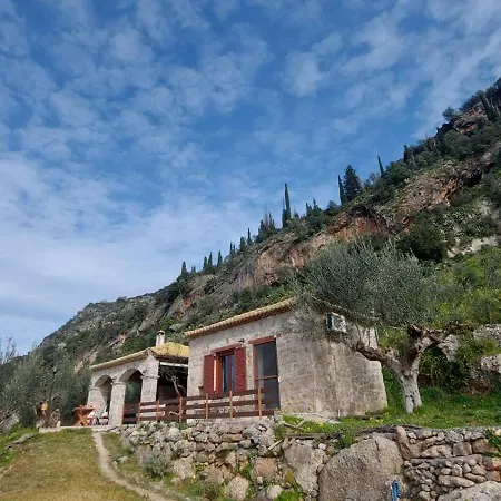 Homonatura Petrinum *