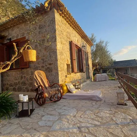 Homonatura Petrinum * Ariokhorion