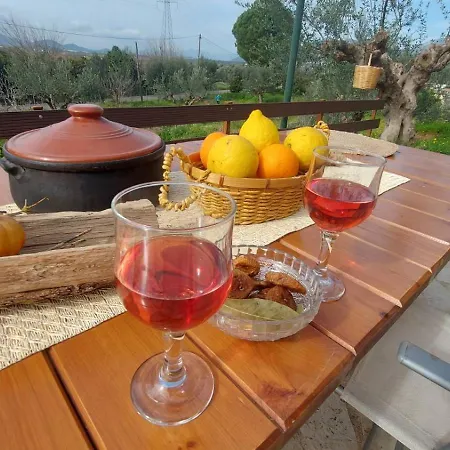 Homonatura Petrinum Ferienhaus *