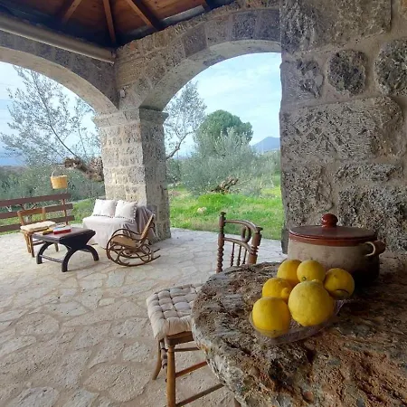 Homonatura Petrinum *