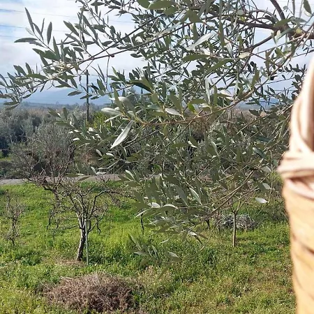 Σπίτι διακοπών Homonatura Petrinum Ariokhorion