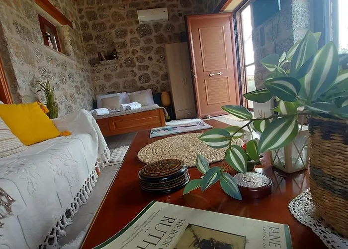 펜션 Homonatura Petrinum Ariokhorion