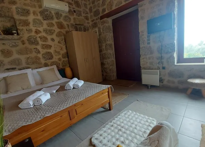 Homonatura Petrinum * Ariokhorion