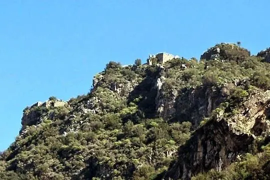 Homonatura Petrinum * Ariokhorion