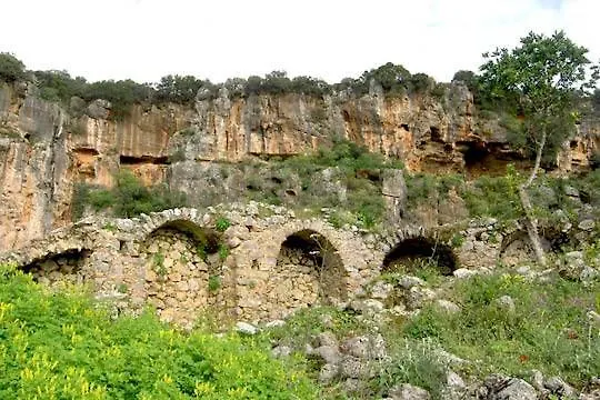 Homonatura Petrinum * Ariokhorion