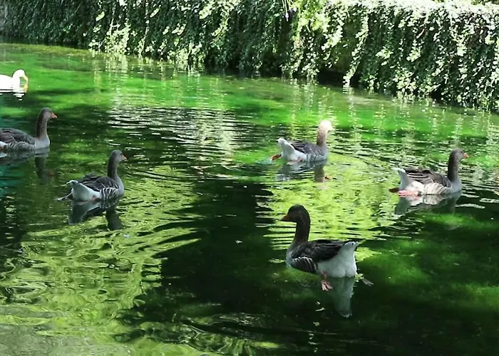 펜션 Homonatura Petrinum