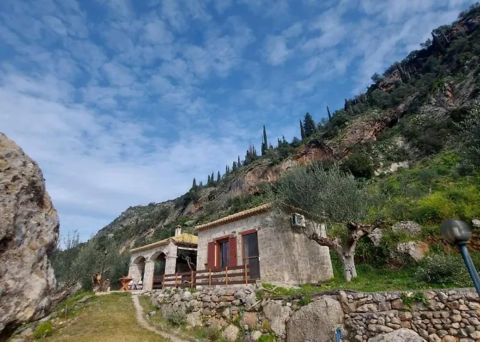 Homonatura Petrinum *