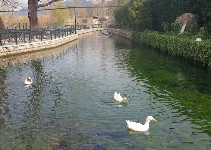 Prázdninový dům Homonatura Petrinum *