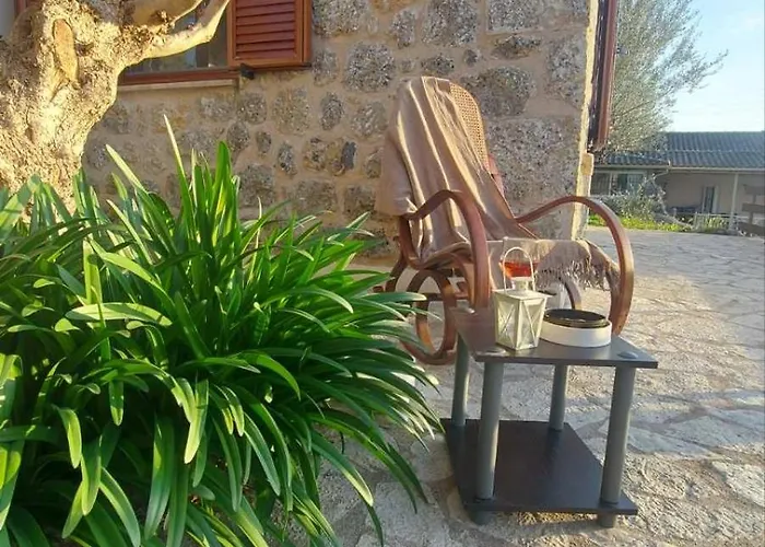 Homonatura Petrinum Сasa de vacaciones *