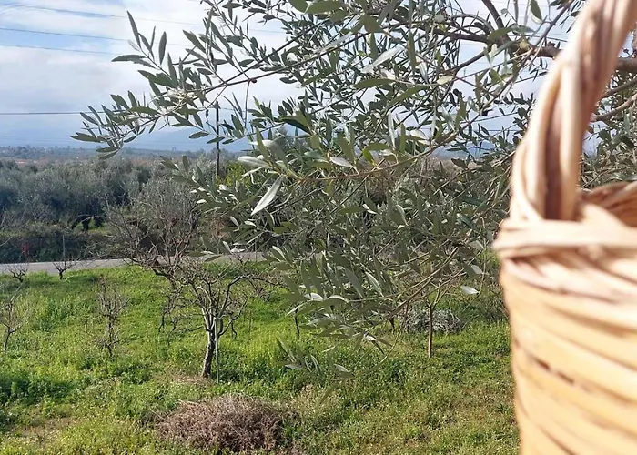 Сasa de vacaciones Homonatura Petrinum Ariokhorion